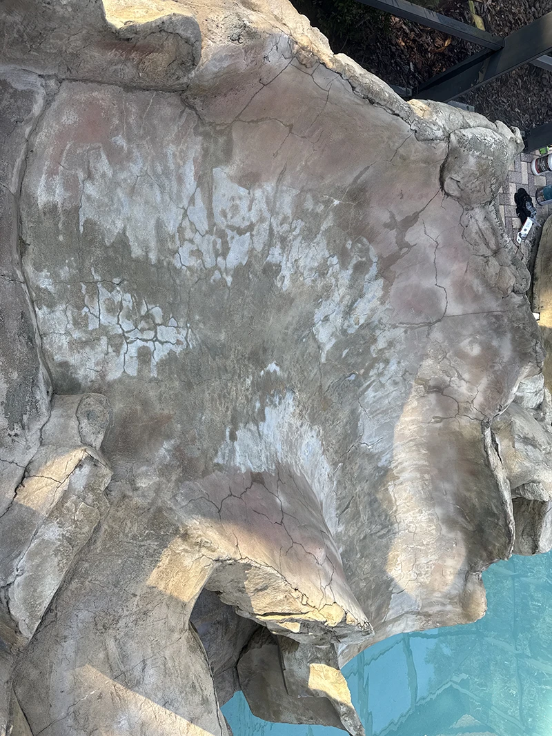 Pool slide surface worn and damaged before resurfacing by Advanced Leak Detection, Tampa Bay